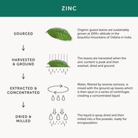 Organic Zinc supplement - Together Health - Natural Source of Zinc from Guava Leaves - Vegan - Made In The UK - 30 Vegecaps