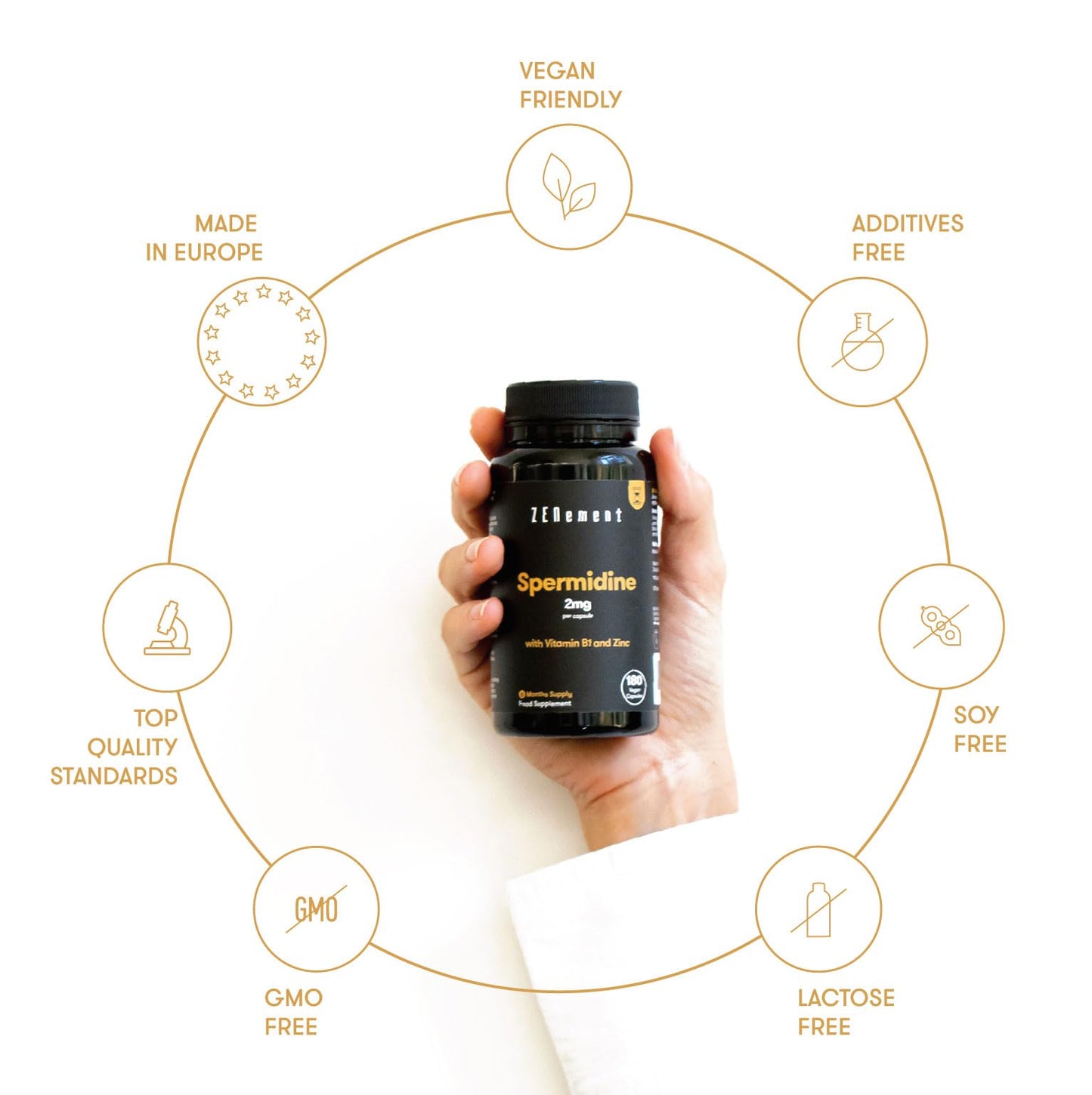 Spermidine, 2mg per Capsule with Vitamin B1 and Zinc | 180 Wheat Germ Extract Capsules | Mitochondrial Rescue, Immune System and Cell Renewal | Vegan, Additives Free | Zenement