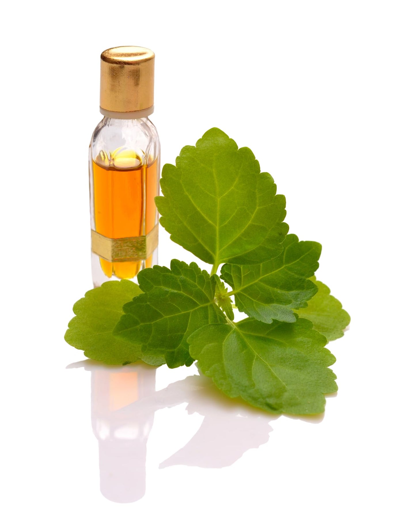 Handmade Comfrey Leaf Salve 120ml – Made in North Yorkshire – All-Natural Ingredients: Comfrey Oil, Sunflower Oil, Beeswax, Vitamin E (120ml)