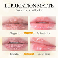 Lip balm Set, 3 PCS - Aloe Vera, Honey, VC Lip Balm Day & Night Lip Moisturiser, Lip Care Chapstick, Long-lasting Moisture to Soothe Dry Chapped Lips, Nourishing Lip Mask for Women Men (Mixed)