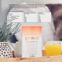 Pura Collagen Powdered Supplement (Protect) 5,000mg Bioactive Collagen PeptidesĀ® with Added Vitamin B12, Vitamin D3 and Natural Ginger Root Extract