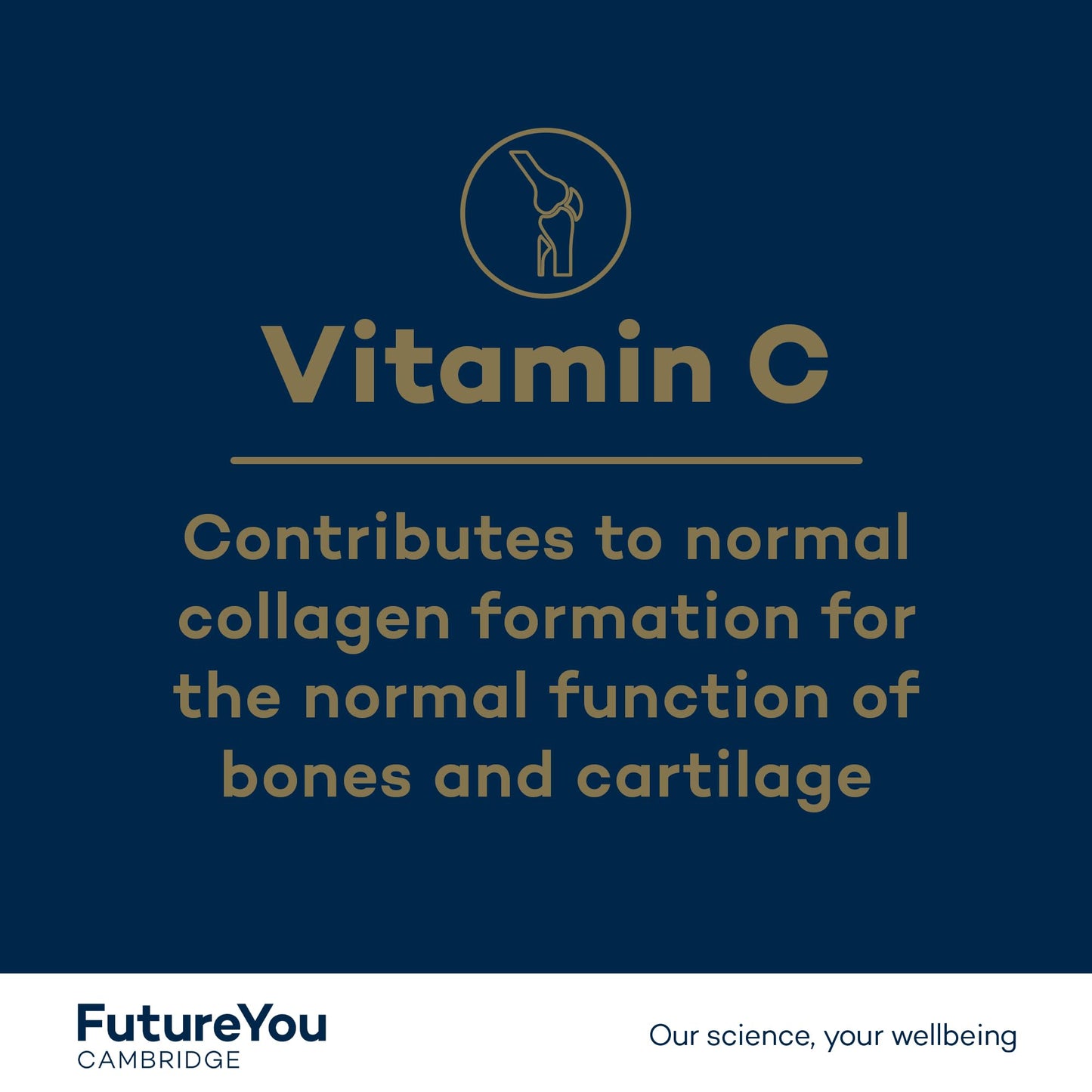 Turmeric+ Gold Supplement – 28 Turmeric Capsules High Strength – Curcumin Capsule Patented Meriva Formulation with Vitamins C & D – Turmeric Tablets for Bones, Joints & Muscles by FutureYou Cambridge.