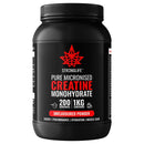 Creatine Monohydrate Powder by Stronglife - 1000 Grams (1KG), 200 Servings at 5 Grams, Micronised, Pure 200 Mesh, Unflavoured - Enhances Muscle Performance Power & Recovery