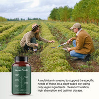 Vegan Multivitamin Tablets for Women and Men Nullure All-in-One | 4 Months | Formulated for Vegan and Vegetarian Diets | Vitamin B12 + D3 + K2 + Iron + Iodine + Zinc | Third Party Tested
