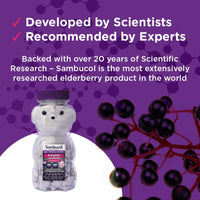Sambucol Natural Black Elderberry Chewable Teddies | Vitamin C | 60 count