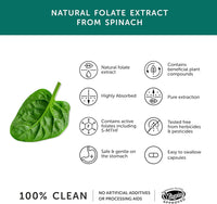 Folate from Spinach | Natural Alternative to Folic Acid | 400 mcg | Contains 5-MTHF | Vegan | Made in The UK | 30 Capsules | Together Health