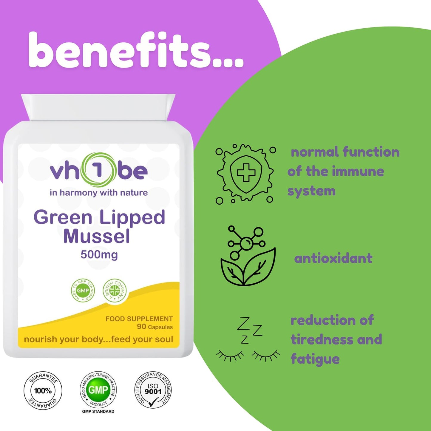 vh1be Green Lipped Mussel 500mg 90 Capsules