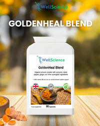 Wellscience WellScience GoldenHeal Blend: Immune Support, Anti-Inflammatory, and Digestive Health - Organic Turmeric, Curcumin, Black Pepper, Ginger & Cayenne