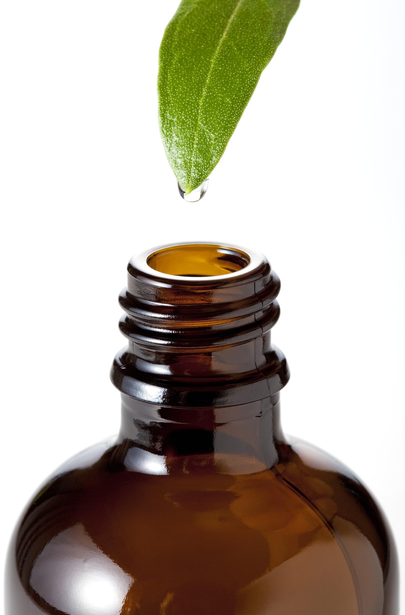 Handmade Comfrey Leaf Salve 120ml – Made in North Yorkshire – All-Natural Ingredients: Comfrey Oil, Sunflower Oil, Beeswax, Vitamin E (120ml)