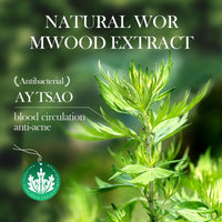 ZQUKAMZ Wormwood Mud Clay Mask - Deep Cleansing Pore Purifying Clay Mask with Tea Tree, Bentonite and Kaolin Clay - Vegan Clay Mask for Face and Body 40g