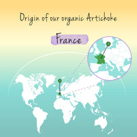 Organic Artichoke Vegavero® | 2000mg (20:1) Artichoke Extract High Strength | No Leaf Fibre, No Inulin | 2.5% Cynarin | NO Additives, Lab-Tested | Made in Germany | 120 Artichoke Capsules | Vegan