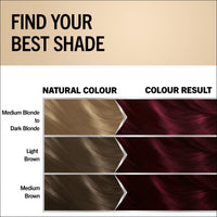 Schwarzkopf Oleo Intense Permanent Oil Colour 4-23 Burgundy Red Hair Dye, 100% Grey Coverage, Conditioner with HaptIQ System, Long-Lasting Colour, Ammonia Free Hair Dye