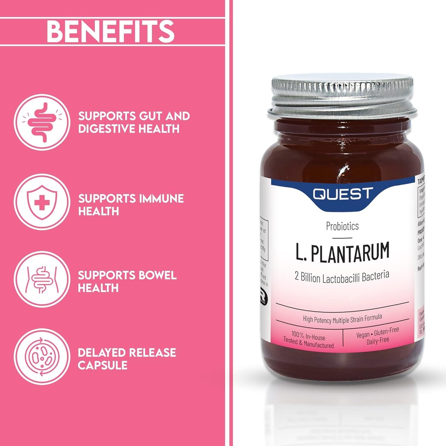 Quest L Plantarum Probiotic Capsules 2 Billion CFU for Immune & Digestive Support. Helps Restore Gut Friendly Bacteria & Regulate Immune Responses. Vegan & Gluten Free (45 Capsules)