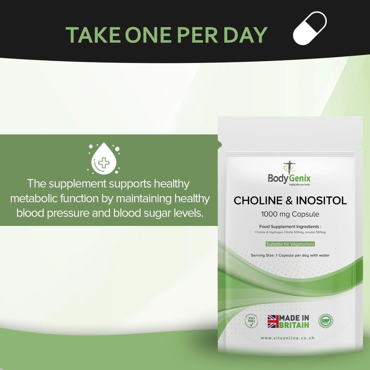 Bodygenix Choline & Inositol Capsules - 1000mg Healthy Skin Brain Health & Metabolic Support Food Supplement - Natural Vegan Friendly 30 Capsules, 1 Month Supply