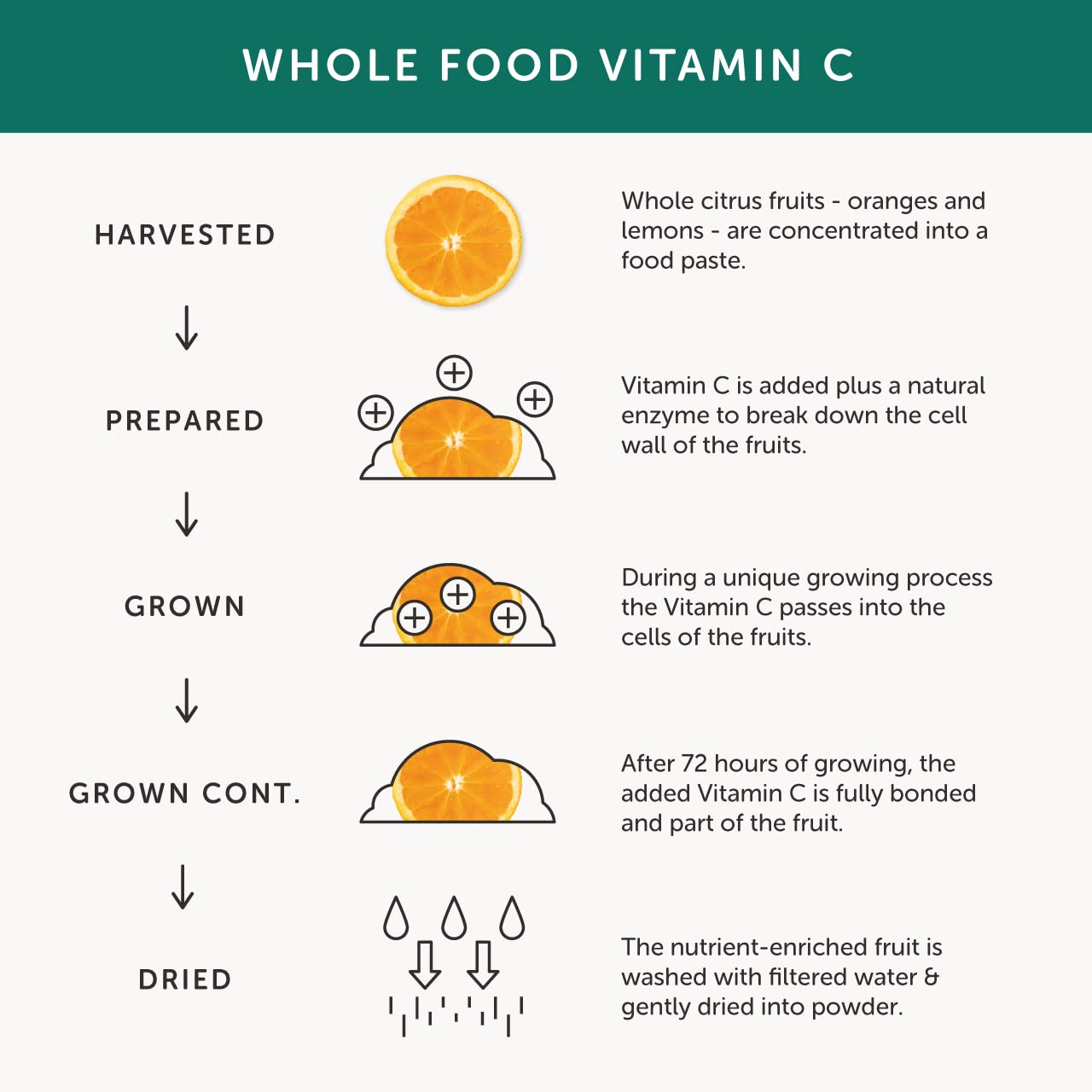 Vitamin C – Together Health – with Organic Citrus Fruits – Gentle & Easily Absorbed – Includes Naturally Occurring Bioflavonoids – Vegan Friendly – Made in The UK – Pack of 3-90 Vegecaps