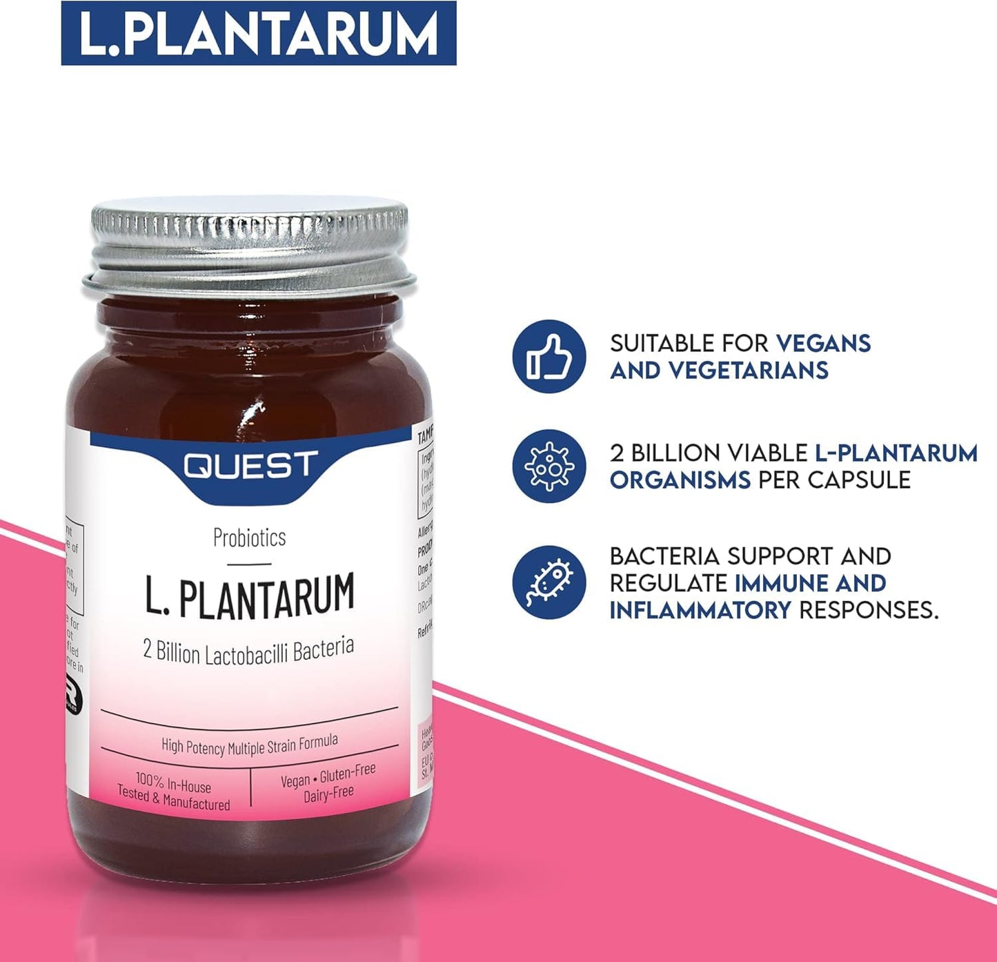 Quest L Plantarum Probiotic Capsules 2 Billion CFU for Immune & Digestive Support. Helps Restore Gut Friendly Bacteria & Regulate Immune Responses. Vegan & Gluten Free (45 Capsules)