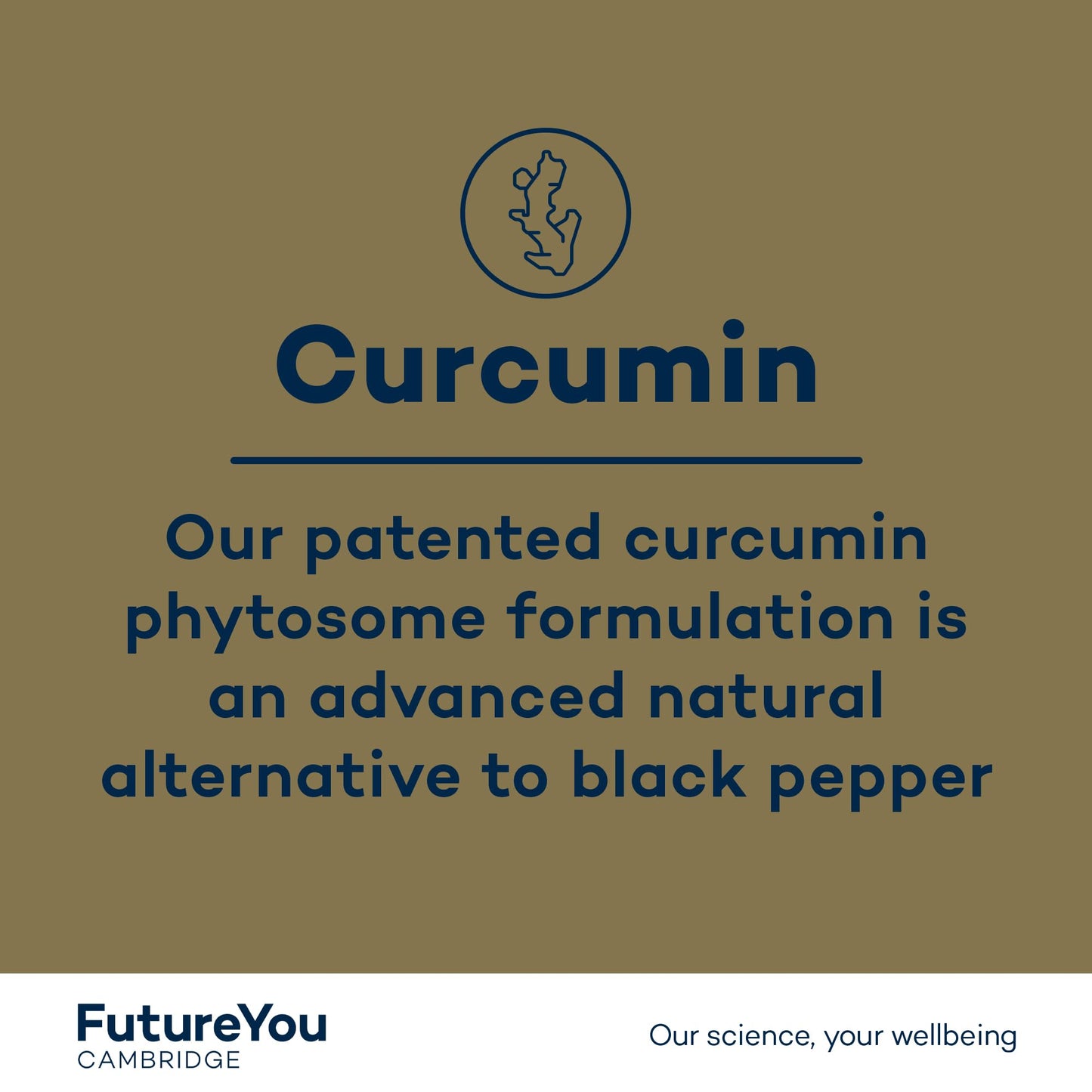 Turmeric+ Gold Supplement – 28 Turmeric Capsules High Strength – Curcumin Capsule Patented Meriva Formulation with Vitamins C & D – Turmeric Tablets for Bones, Joints & Muscles by FutureYou Cambridge.