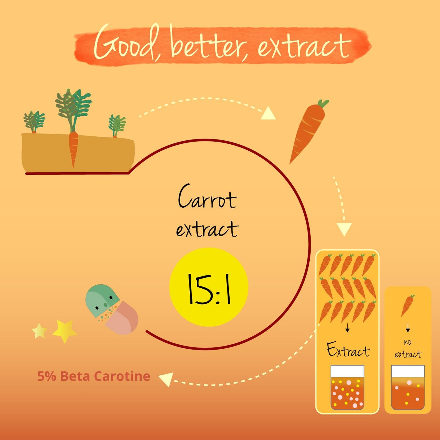 Beta Carotene Vegavero® | 180 Capsules | Tan Accelerator | 100% Natural Source of Vitamin A | NO Additives, Lab-Tested | Vegan