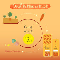 Beta Carotene Vegavero® | 180 Capsules | Tan Accelerator | 100% Natural Source of Vitamin A | NO Additives, Lab-Tested | Vegan