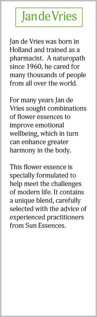 Jan De Vries Night Essence | Promote Better Sleep | Flower Essence | Quieten an Over-stimulated Mind | Contains Chamomile, Aspen & Bluebell | 30ml