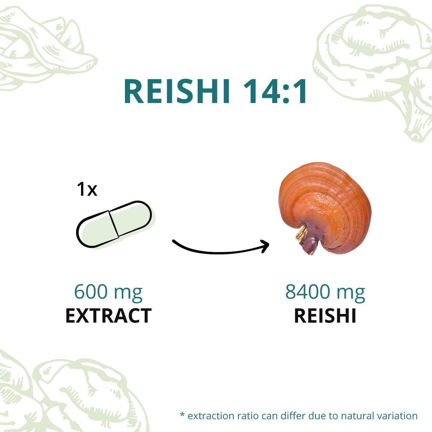 Organic Reishi Extract Vegavero® | 8400mg (14:1) Ganoderma Lucidum | with Polysaccharides & Beta Glucans | Mushroom Extract Powder | 90 Capsules | Vegan