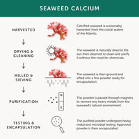 Calcium – Together Health – Seaweed-Based Calcium – 72 Trace Minerals – Vegan Friendly – Made in The UK – Pack of 2-120 Vegecaps