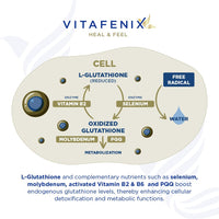 Vitafenix Glutathione 500mg - Extra Strength Glutathione Capsules for Skin Whitening – Setria l Glutathione Supplement for Skin Whitening & Antioxidant Support – 30 Vegan Capsules