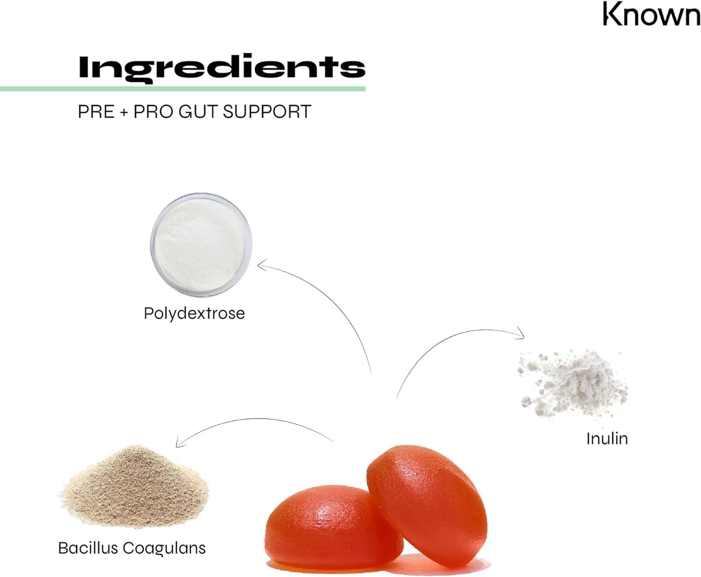 Known Probiotics for Gut Health - Prebiotic & Probiotic Support Gummies | Pineapple & Orange Flavour | 60 Two-a-Day Vegan Vitamin Gummies (One Month’s Supply)