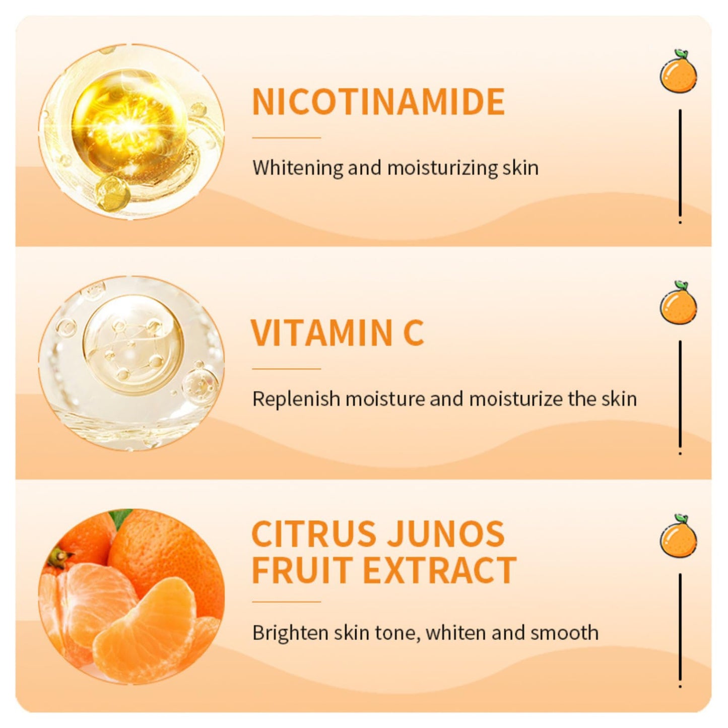 Vitamin C Body Lotion – Brightening & Hydrating Body Moisturiser – Vitamin C Cream for Uneven Skin Tone – Smooth, Radiant & Nourished Skin – Daily Body Care for Dry & Dull Skin 300ml
