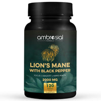 AMBROSIAL Ambrosial Lion's Mane with Black Pepper - 2000 mg - Enhances Focus, Boosts Immunity, and Supports Nerve Health - Highly Absorbent 100% Organic Lion's Mane Extract - 120 Tablets