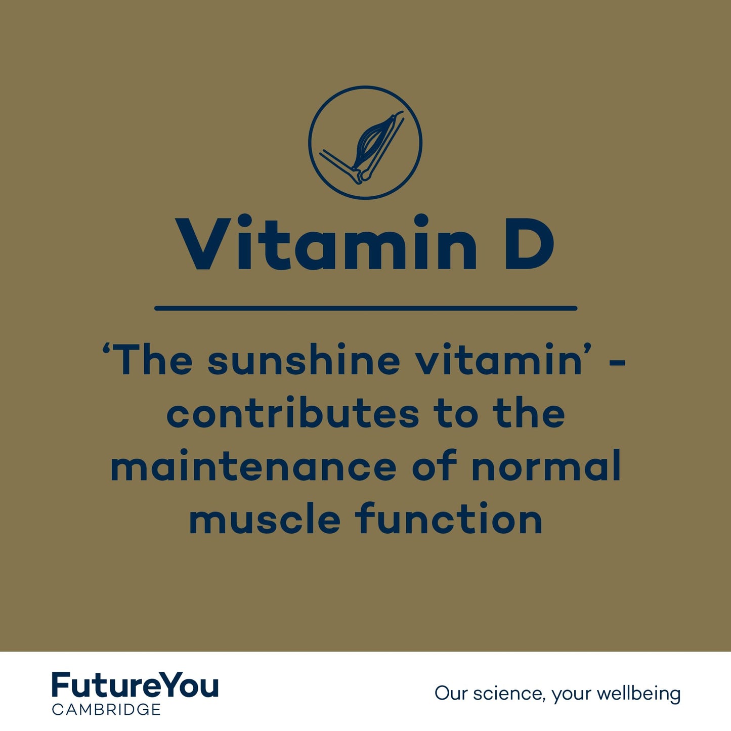 Turmeric+ Gold Supplement – 28 Turmeric Capsules High Strength – Curcumin Capsule Patented Meriva Formulation with Vitamins C & D – Turmeric Tablets for Bones, Joints & Muscles by FutureYou Cambridge.
