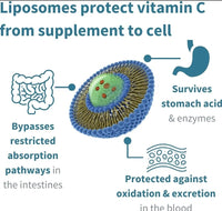 Cell Naturals Liposomal Vitamin C 1000mg with Zinc Citrate 15mg, Orange Flavour, Effervescent Tablets