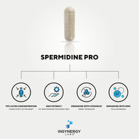 Spermidine PRO (99% Purity Elite Grade) Pure Spermdine 100X Potency vs Wheat Germ Spermidine Supplements, Enhanced with Zinc +Vitamin B1, Spermidine Supplements 10mg 60 Vegan Spermidine Capsules