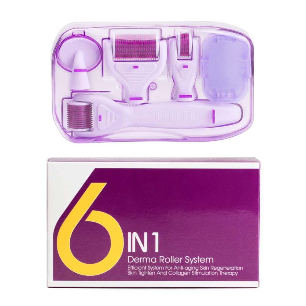 tao pipe Derma Roller 6 in 1 Micro Needing System Derma Roller Kit for Skin Care to Reduce Wrinkles, Sun Damage, Dark Spots, Scars