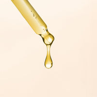 ARGANICARE Arganicare | Macadamia range | REPAIR SHAMPOO | With organic Macadamia oil | Cleans & Protects | Fight against split ends | High hydration | 400mL