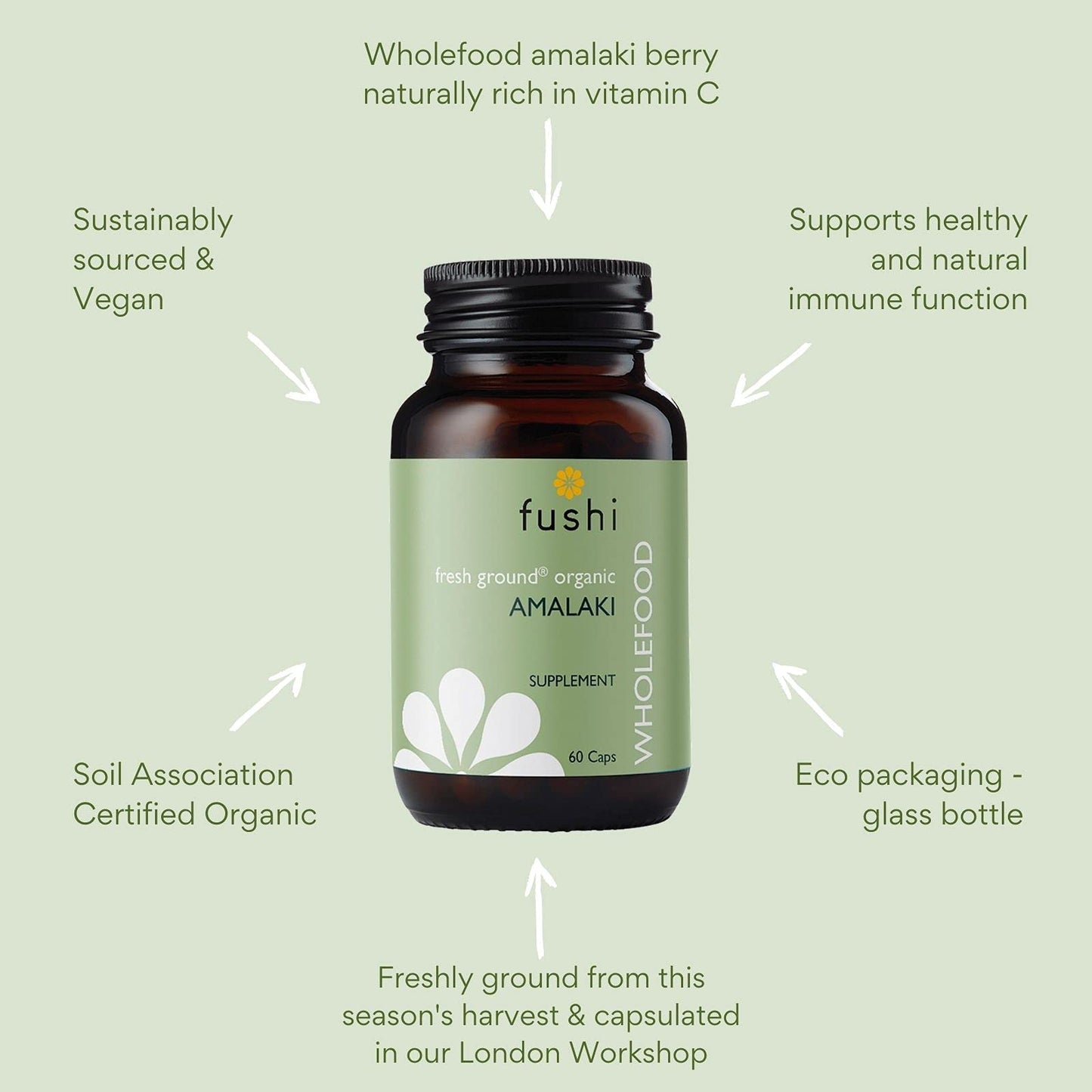 Fushi Organic Amalaki Capsules, 60 Caps | Fresh-Ground & Whole Food | Rich in Vitamin C | Natural Anti-inflammatory, Detoxifies the Body | Bio-dynamically Grown, Cold Processed, Vegan |Made in the UK