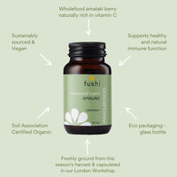 Fushi Organic Amalaki Capsules, 60 Caps | Fresh-Ground & Whole Food | Rich in Vitamin C | Natural Anti-inflammatory, Detoxifies the Body | Bio-dynamically Grown, Cold Processed, Vegan |Made in the UK