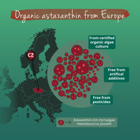 Vegavero Organic Astaxanthin 8mg | Natural Astaxanthin Antioxidant Supplements | Highly Bioavailable | NO Additives, Lab-Tested | 60 Capsules | Vegan