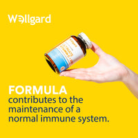 Wellgard Vegan Vitamin C and Zinc - Maximum Recommended Daily Intake of Zinc, Made in UK