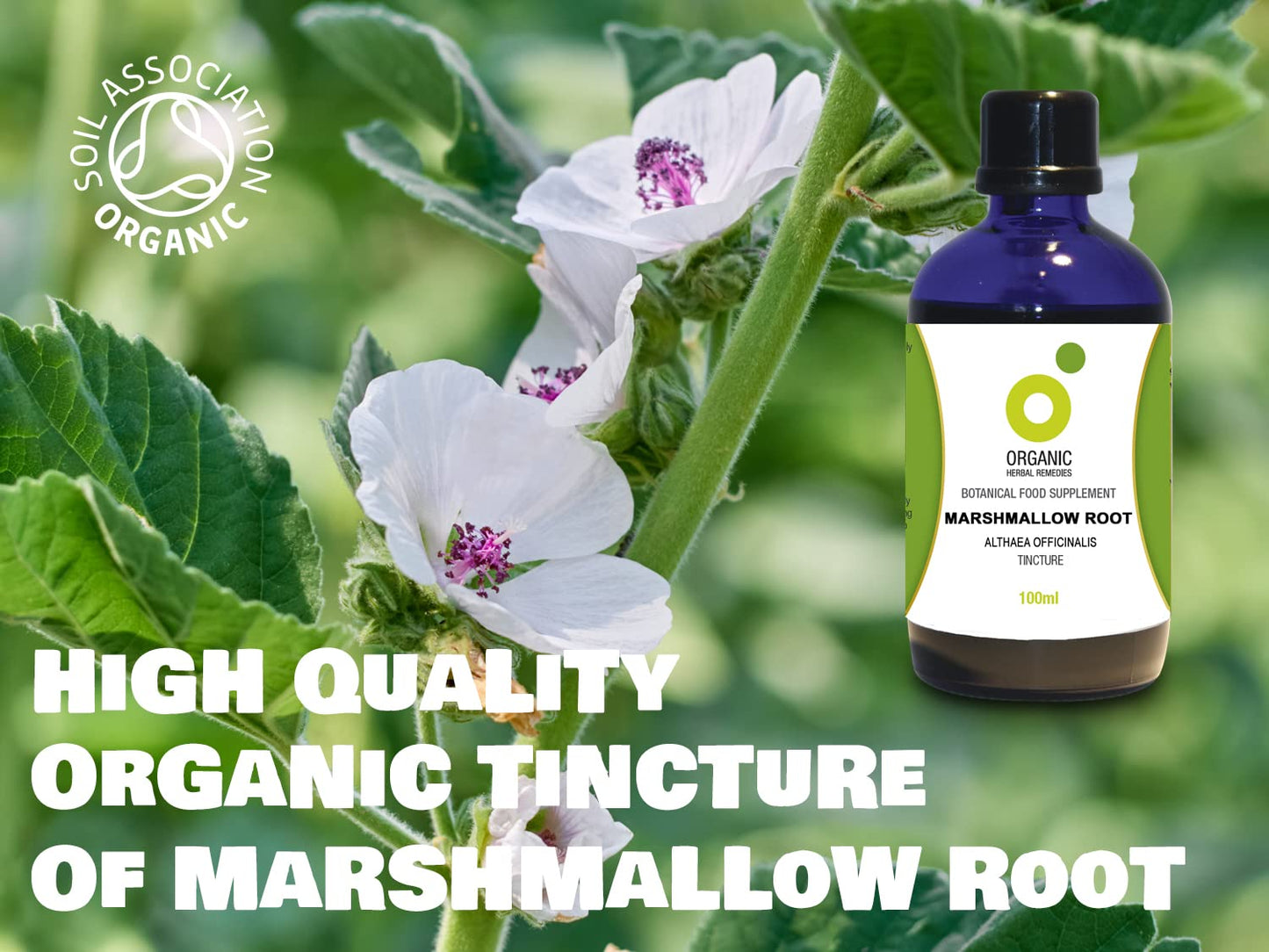 Organic Herbal Remedies Marshmallow Root Tincture, 100 ml