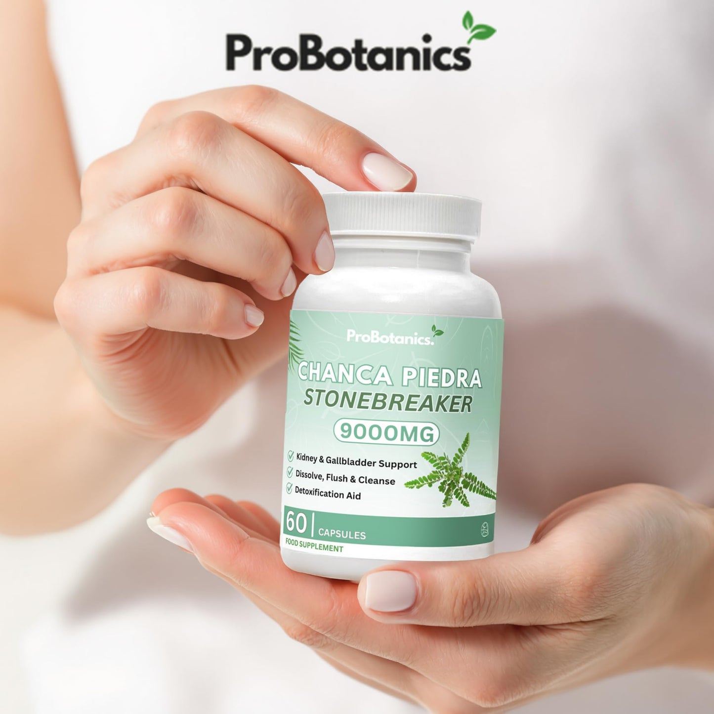 ProBotanics Chanca Piedra Stone Breaker Capsules | Kidney, Liver & Gallbladder Support – Dissolve, Flush & Cleanse | 900mg Per Serving (10:1 Extract Equiv. to 9000mg) Kidney Cleanse Supplement - 60 Capsules