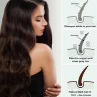 SingHao Polar Hair Dye Shampoo,3 in 1 Sha/mpoo for Color Treated Ha/ir,Nova Hai/r D/ye Sham/poo,Dark Brown Hai/r Dy/e Permanent,H/air D/ye Care,Ha/ir Care Instant Dy/e Shamp/oo,H/air Color Sh/ampoo#Dark Brown