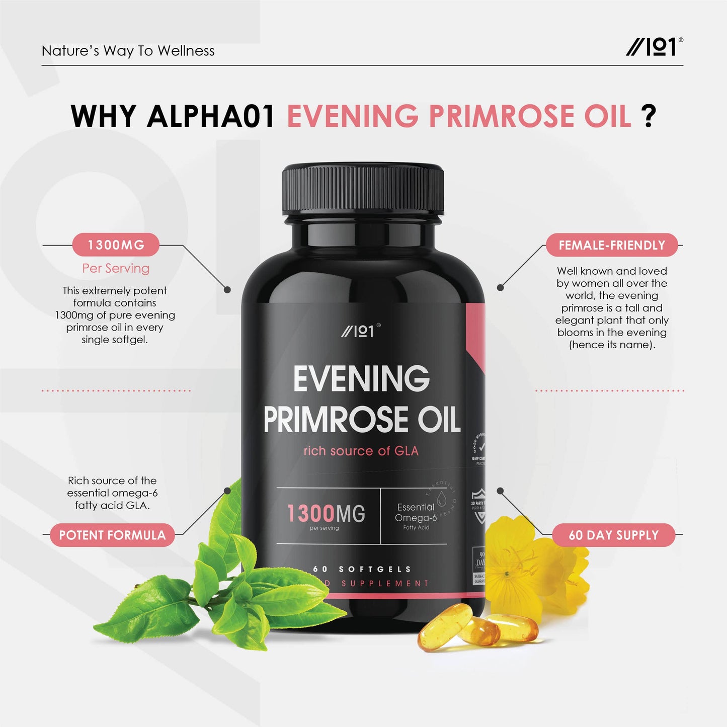 ALPHA01 Evening Primrose Oil 1300mg | 60 Capsules | Cold-Pressed Rich Source of Omega 6 | 117mg GLA | Non-GMO, Gluten Free Supplement | No Artificial Preservatives | by Alpha01