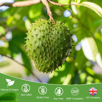 Aoruilia Soursop Capsules with Vitamin C - 1200mg Soursop per Serving - Soursop Fruit Extract Capsules for Immune & Antioxidant, Herbal Supplement for Men & Women, Natural & Vegan - 120 Capsules