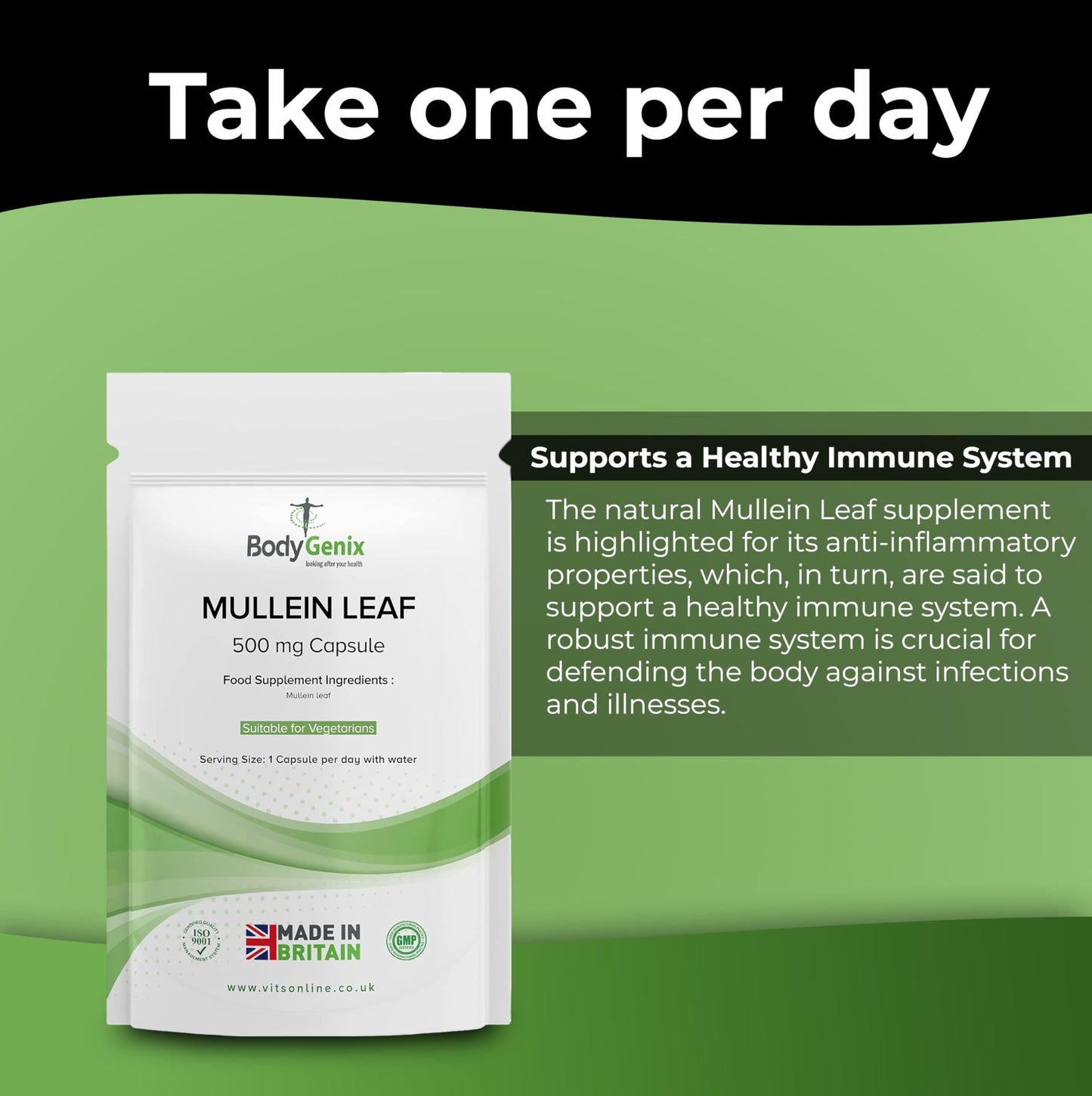 Bodygenix Mullein Leaf Capsules - 500mg Anti Inflammatory Antioxidant Joint Support Respiratory Health Natural Vegan Supplement - 30 Capsules 1 Month Supply