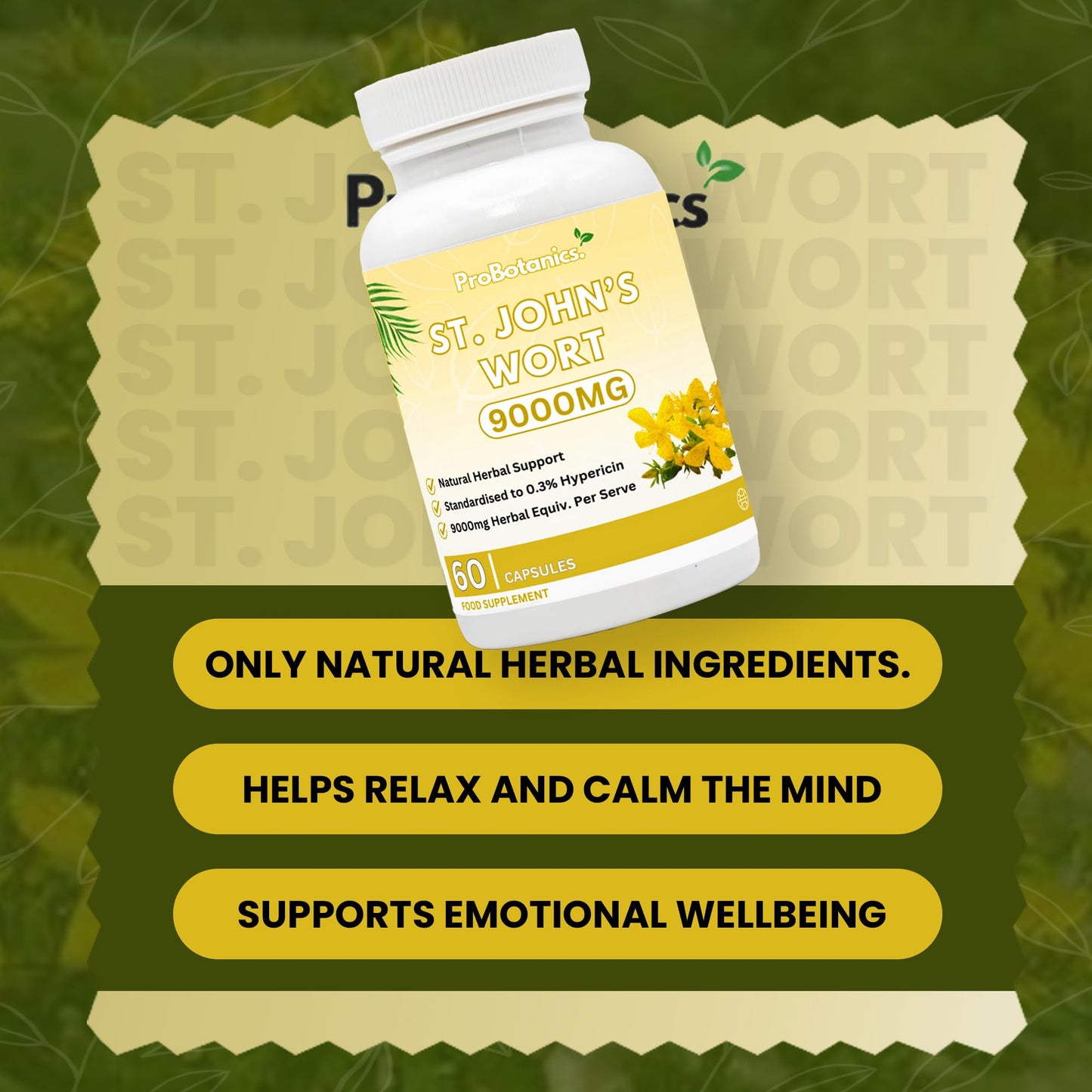 ProBotanics St John’s Wort Capsules 900mg Per Serving (10:1 Extract Equivalent. to 9000mg) | 0.3% Hypericin | Traditional Herbal Support for Mood & Natural Stress Support Supplement - 60 Capsules