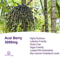 UKHealthHouse Acai Berry 3000mg | Vegan Friendly | Tablets from Brazil Supplement | Double Strength Superfood | Antioxidant Health Maintenance, Energy (180 tabs)