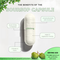 Organic Soursop Graviola for Cell Support & Regeneration | High Strength 13500mg 30:1 Extract Per Serving | Powerful Antioxidant and Immune Support - 60 Capsules