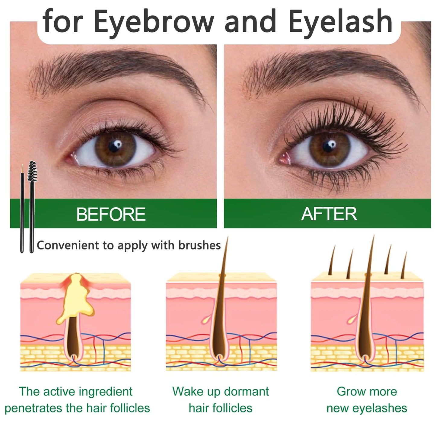 AmiCera Rosemary Oil for Hair Growth, Organic Pure Rosemary Essential Oil, with Derma Roller for Hair, Hair Strengthening for Men Women, Scalp Massage & Nourish, Eyebrow Eyelash Growth Oils, 60ml, 2 Brushes