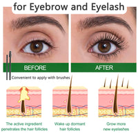 AmiCera Rosemary Oil for Hair Growth, Organic Pure Rosemary Essential Oil, with Derma Roller for Hair, Hair Strengthening for Men Women, Scalp Massage & Nourish, Eyebrow Eyelash Growth Oils, 60ml, 2 Brushes